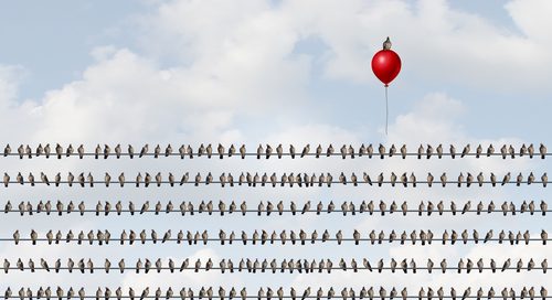 real estate crm workflows